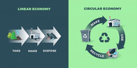 différences entre économie linéaire et économie circulaire